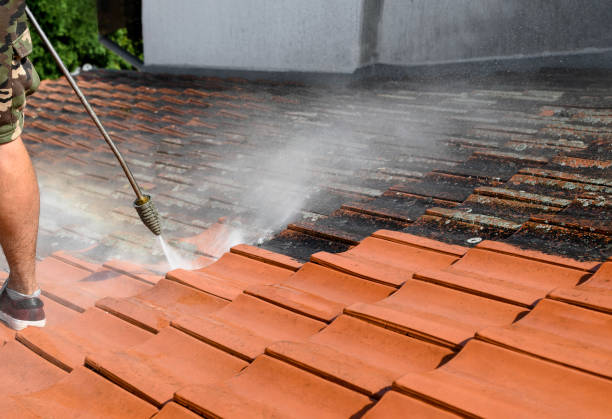Best Affordable Power Washing  in Dobbs Ferry, NY